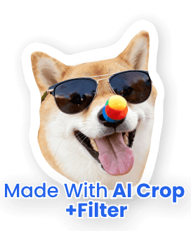 Thumbnail of AI Crop and Filter demo