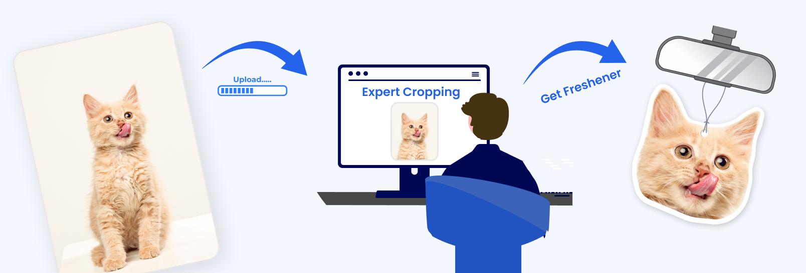 Assisted Crop illustration